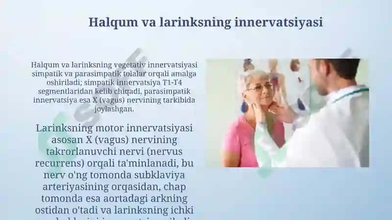Hiqildoq,halqum klinik anatomiyasi va tekshirish usuli 3