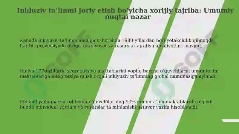 Inklyuziy ta'limni joriy qilish bo'yicha chet el tajribalari 3