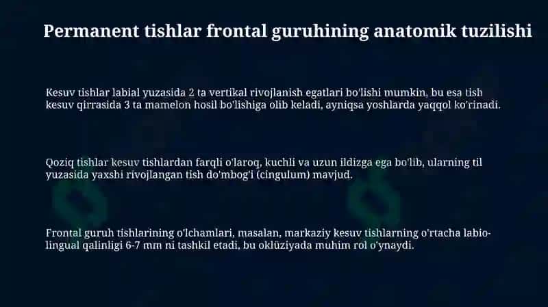 Doimiy tishlovdagi frontal guruh tishlarning tuzilishi 3