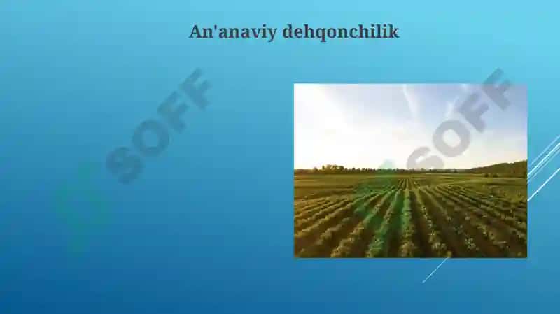 Markaziy Osiyo davlatlarining qishloq xoʻjaligi 3