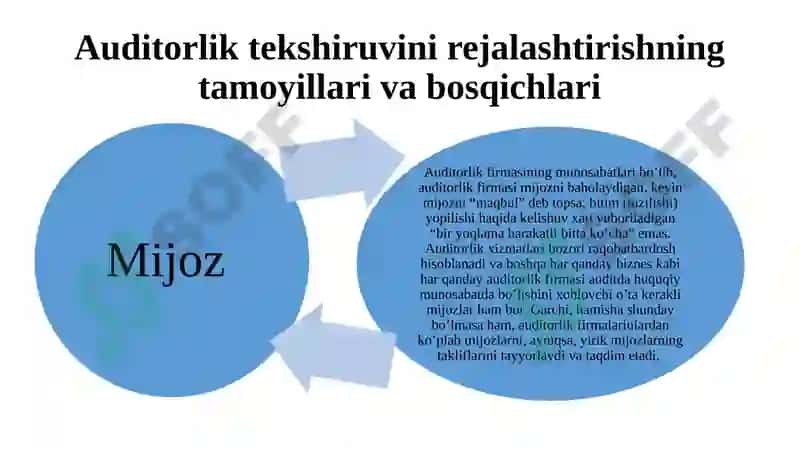 Auditorlik Tekshiruvi Rejalashtirish 3