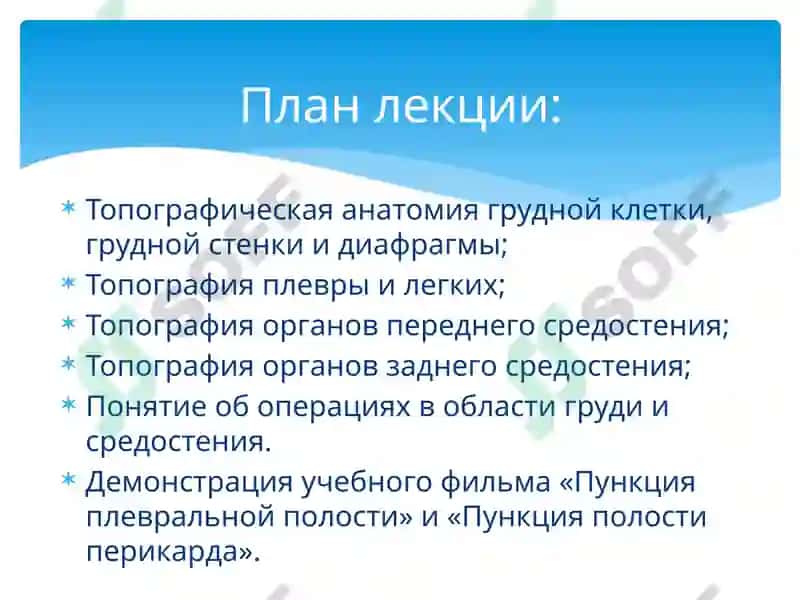 Топографическая анатомия и оперативная хирургия 3