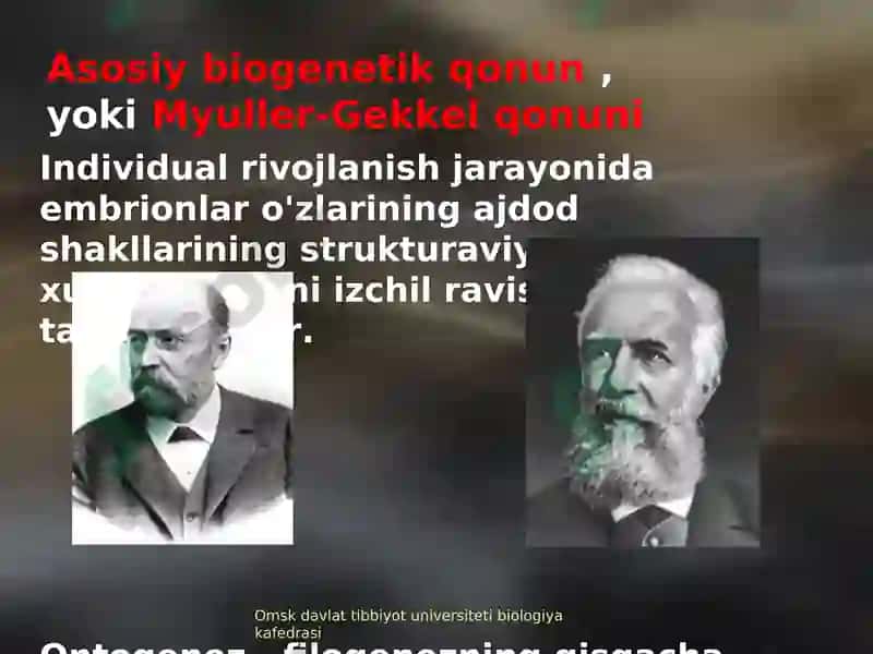14-sonli ma’ruza 3