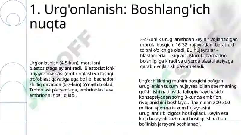 Morulla va Blastula 3