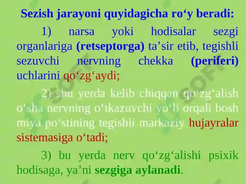 SEZGILAR TO'G'RISIDA UMUMIY TUSHUNCHA 3