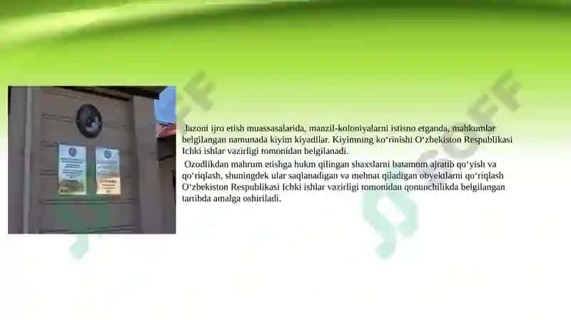 Jazoni Ijro Etish Muassasalaridagi Rejim 3