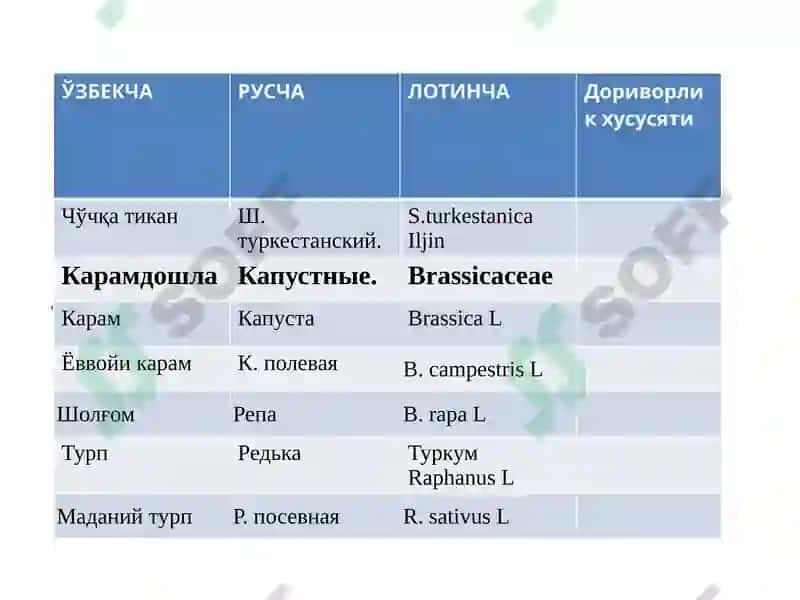 Сабзавот ва полиз доривор ўсимликларнинг рўйхати 3
