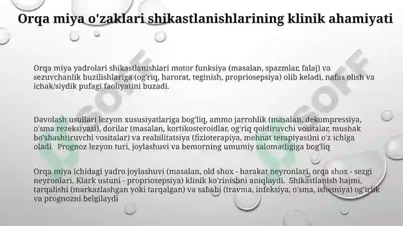 Orqa miya o'zaklarining ahamiyati 3