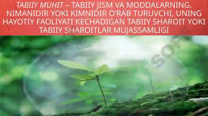 JAMIYAT VA TABIAT O‘RTASIDAGIMUNOSABATLAR 3