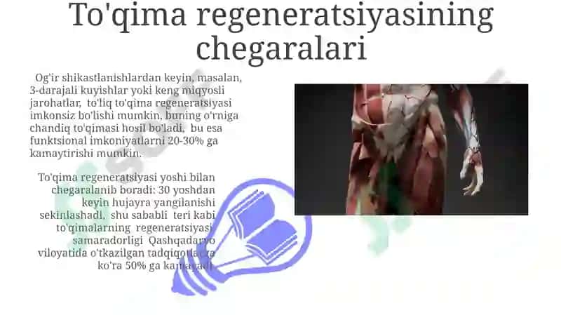 To'qimalarning fiziologik va reparativ regeneratsiyasi 3