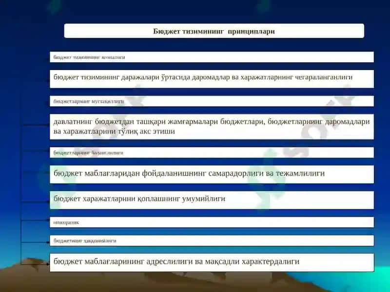 Бюджет тизими 3