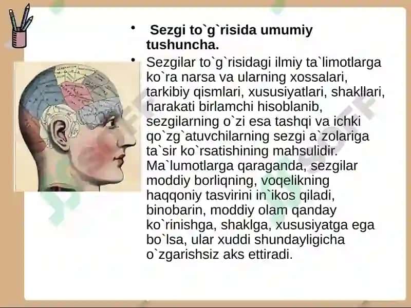 Sezgihaqidatushuncha 3