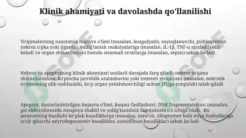 Nekroz va apoptoz haqida umumiy tushuncha 3