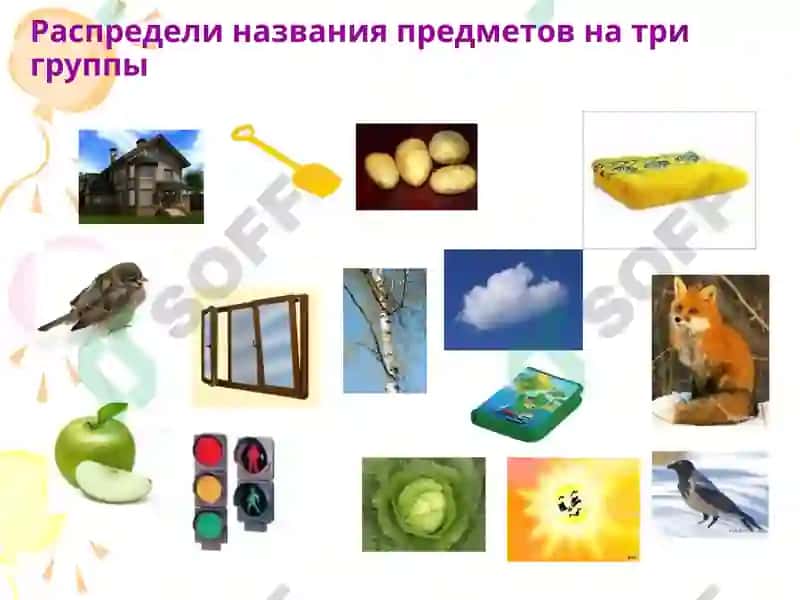 Род имён существительных 3