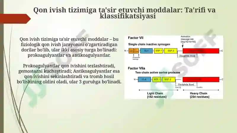 Qon ivish sistemasiga ta'sir etuvchi moddalar 3