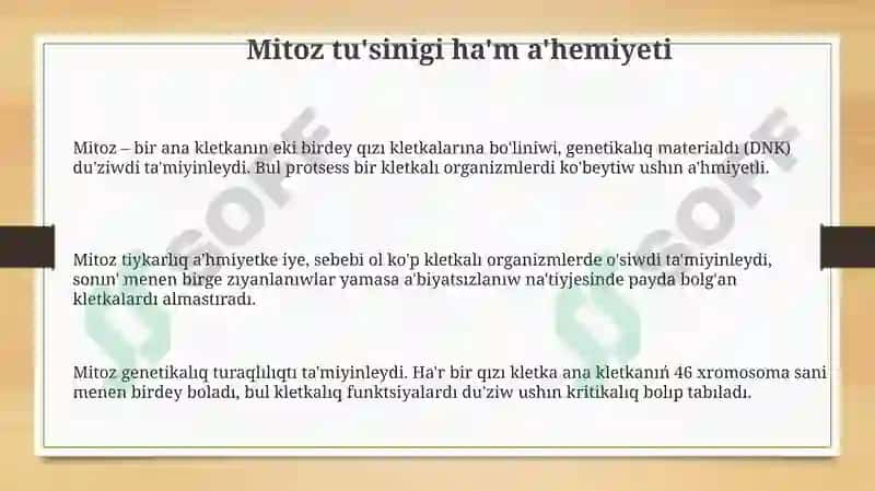 Mitozprocessi 3