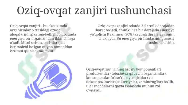 Oziq-ovqat zanjiri va trofik darajalar 3