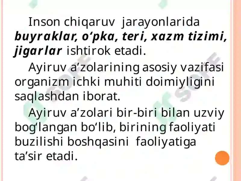 Ayirish Sistemasi Fiziologiyasi 3