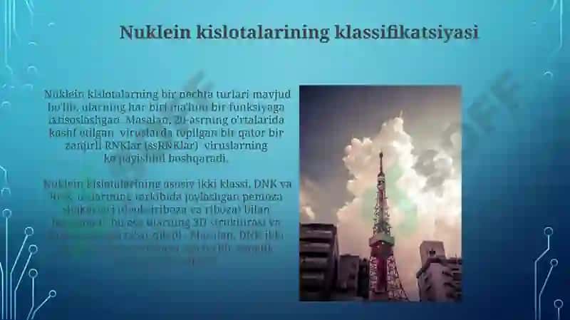Nuklein kislotalarining tuzilishi, va klassifikatsiyasi va nomenklaturasi 3