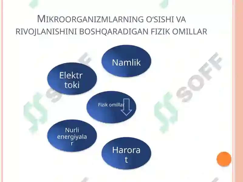 MIKROORGANIZMLARGATASHQI MUHIT OMILLARINING TA`SIRI 3