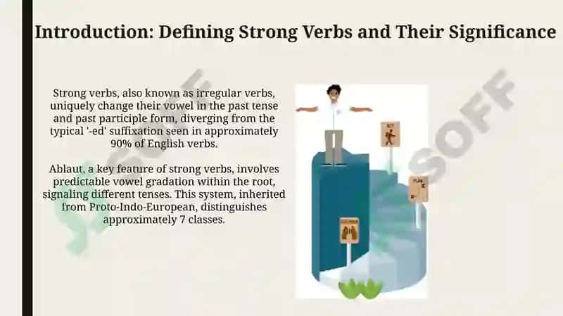 The development of strong verbs 3