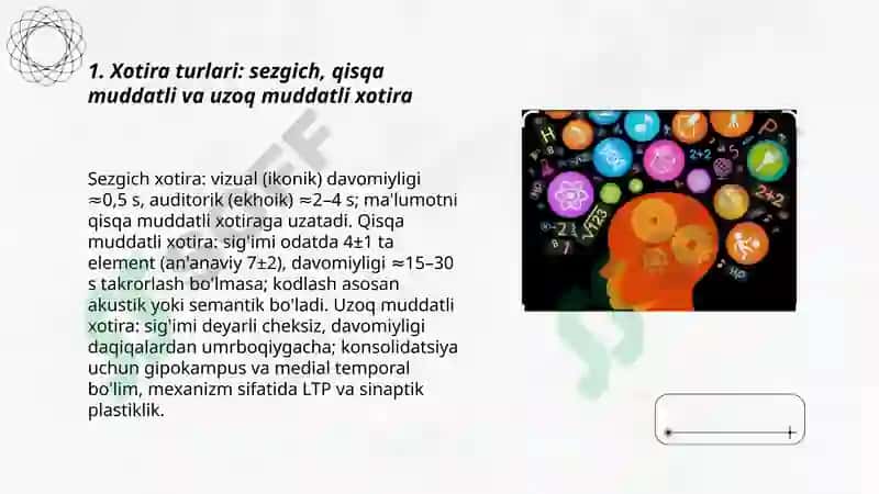 Xotira va hayolning nerv fiziologik asoslari turlari va jarayonlari 3