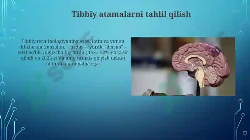Lotin tili va tibbiy terminologiyaga kirish 3