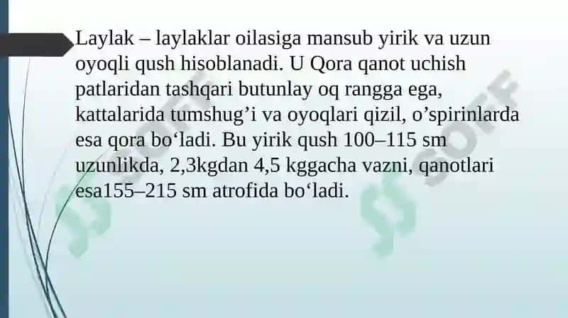 Qushlar sinfining turli sistematik guruhlaridan preparat tayyorlash. 3