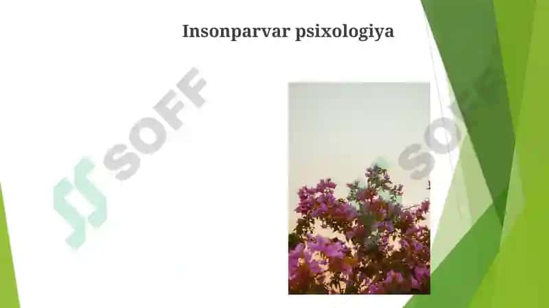 Psixologiya maktablari 3