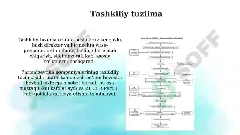 Farmatsevtik ishlab chiqarish jarayoning tashkiliy tuzilishi 3