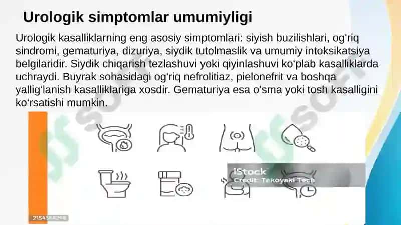 Urologik kasalliklar simptomlari, tashxislash usullari, davolash va asoratlari 3