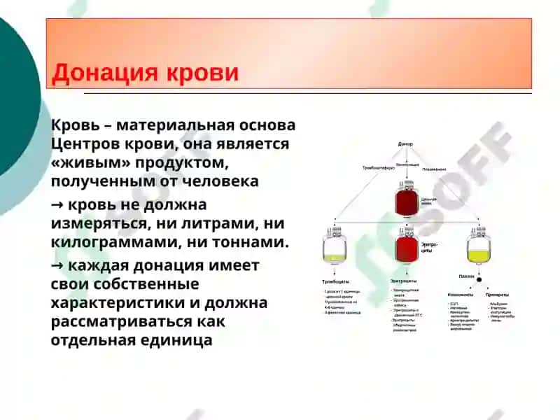 Реформа службы крови в Узбекистане 3