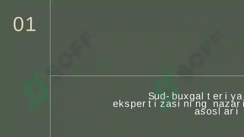 Sud-buxgalteriya ekspertizasi 3