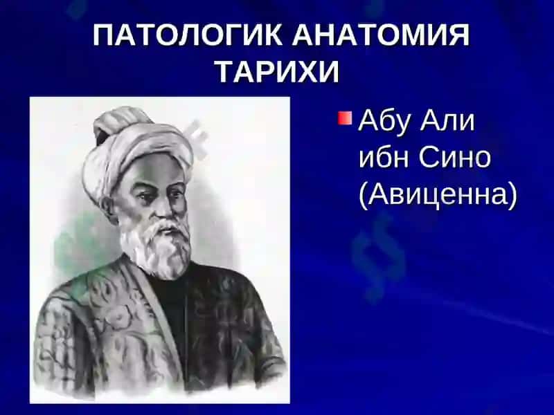 ПАТОЛОГИК АНАТОМИЯ ФАНИ, УНИНГ ТАРИХИ 3
