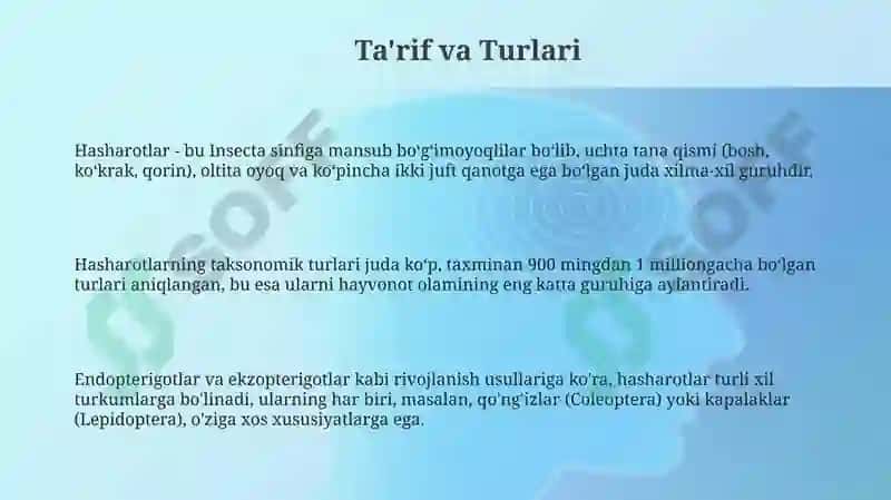 Hasharotlar: Ta'rif va Turlari 3