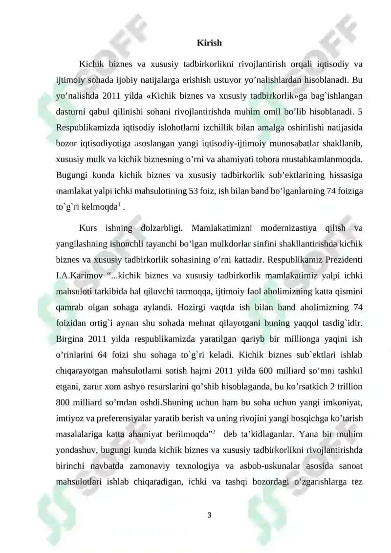Kichik biznes va xususiy tadbirkorlik yili 3