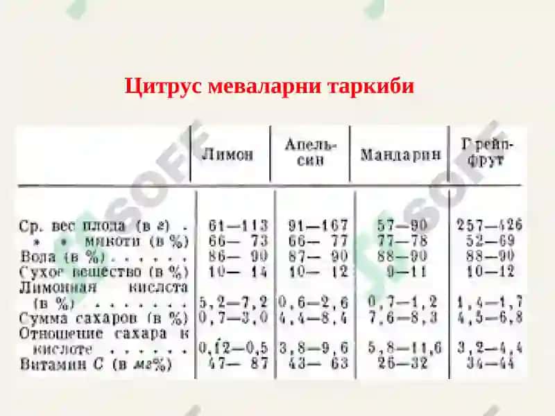 Цитруслар мевалари 3