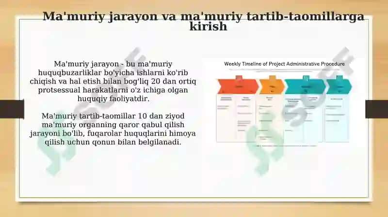 Ma'muriy jarayon va mamuriy protseduralar 3