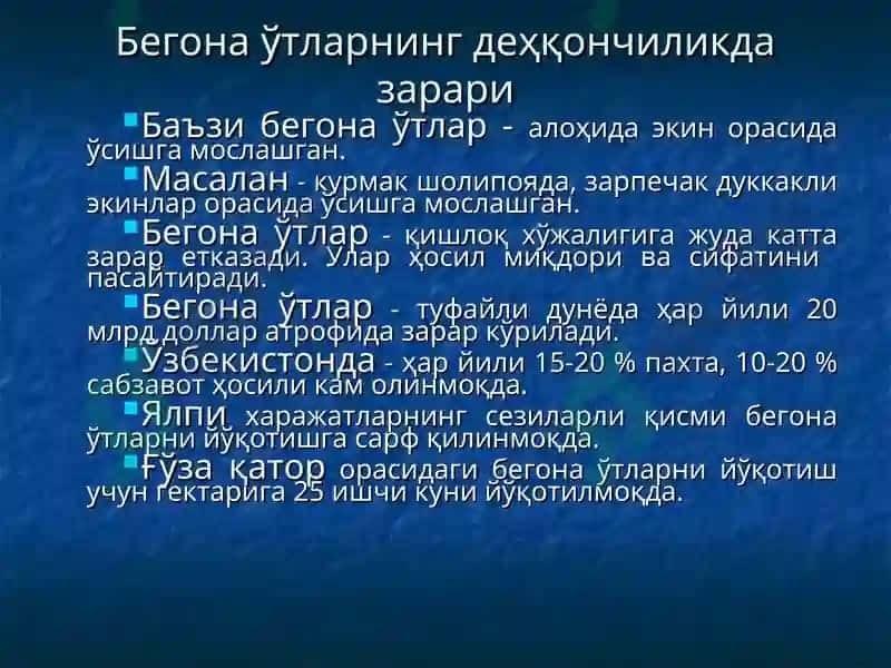 6-МАВЗУ.БЕГОНА ЎТЛАР ҲАҚИДА ТУШУНЧА, УЛАРНИНГ ЗАРАРИ ВА БИОЛОГИК ХУСУСИЯТЛАРИ 3
