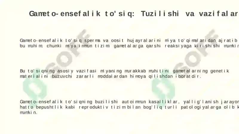 Gametoensefalik toʻsiq gistofiziologiyasi 3