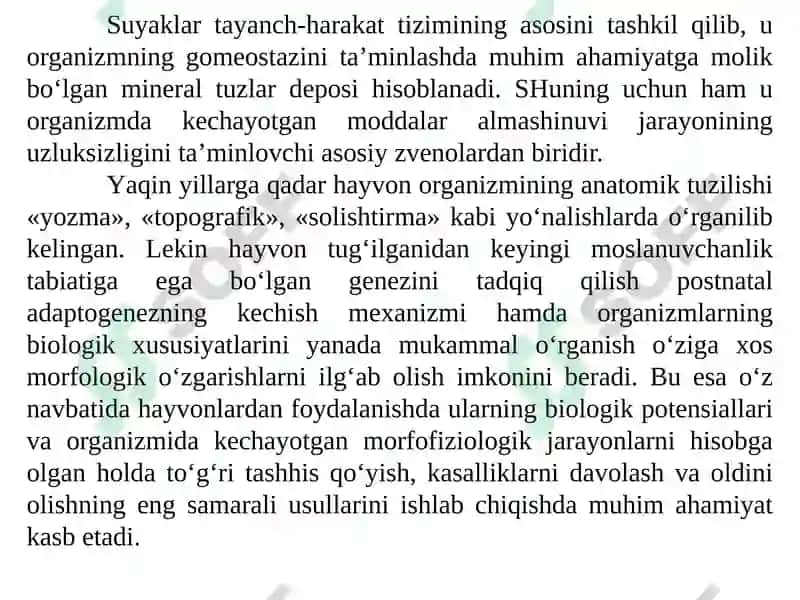 TURLI YOSHDAGI QO‘YLAR ELKA SUYAGINING MAKRO-MIKROANATOMIK TUZILISHINING O‘ZIGA XOS JIHATLARI 3