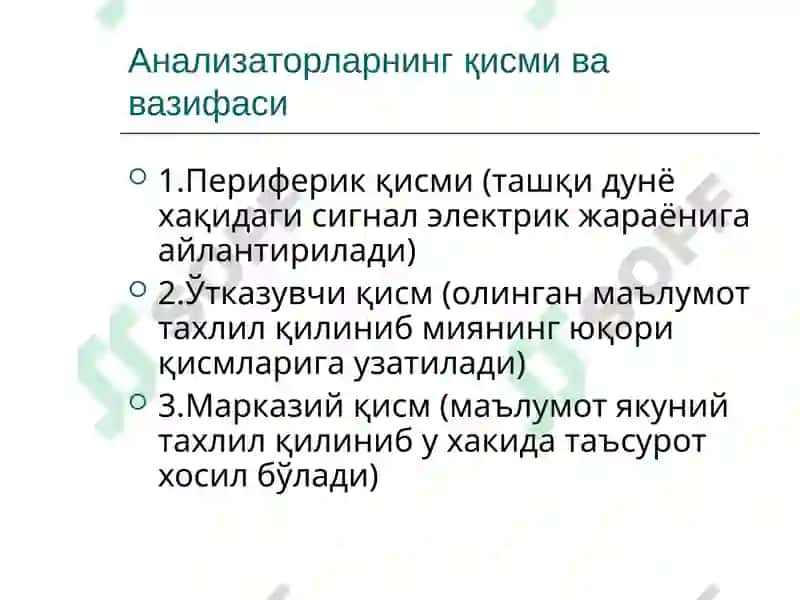 Анализаторлар умумий физиологияси 3