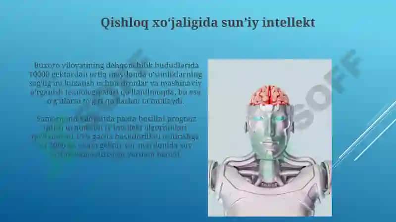 Sogʻdiana Muammolari va Sunʼiy Intellekt Imkoniyatlari 3