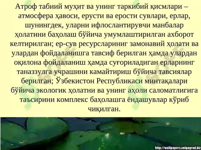 Ифлосланишни бошқариш иқтисодиёти: умумий нуқтаи-назар 3
