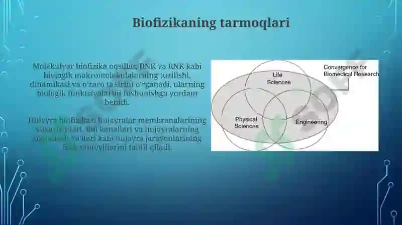 Biofizika fanining bo‘limlari 3