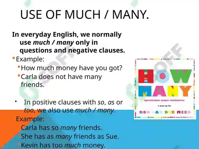 How much? and how many? 3