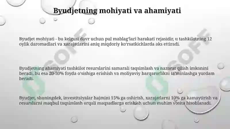 Byudjetning mohiyati va ahamiyati 3