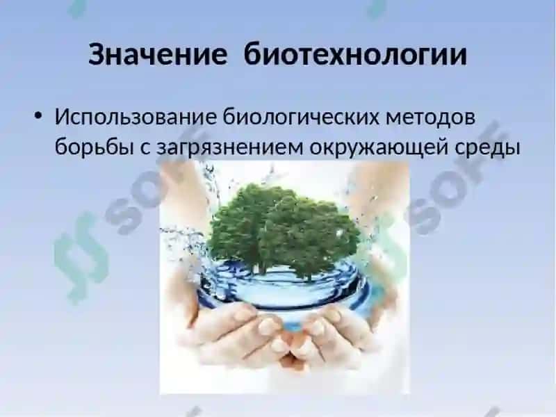 Қишлоқ хўжалик экинларини соғломлаштиришнинг биотехнологик асослари. 3