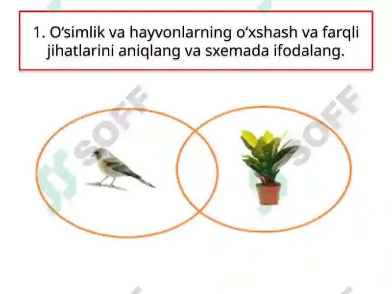 BOB YUZASIDAN MANTIQIY FIKRLASHGA DOIR TOPSHIRIQLAR 3