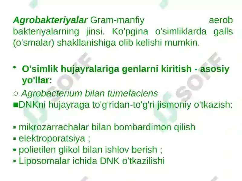 O'simliklargenetik muhandisligi imkoniyatlar va cheklovchi omillar 3